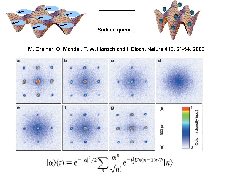 Sudden quench M. Greiner, O. Mandel, T. W. Hänsch and I. Bloch, Nature 419,