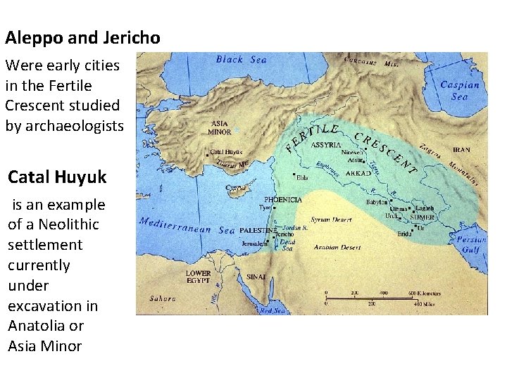 Aleppo and Jericho Were early cities in the Fertile Crescent studied by archaeologists Catal