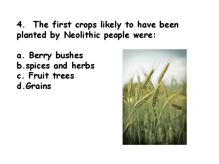 4. The first crops likely to have been planted by Neolithic people were: a.