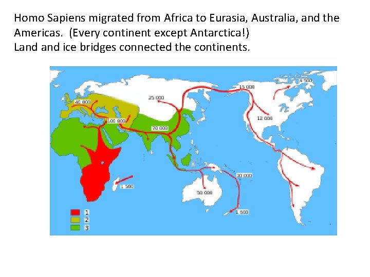 Homo Sapiens migrated from Africa to Eurasia, Australia, and the Americas. (Every continent except