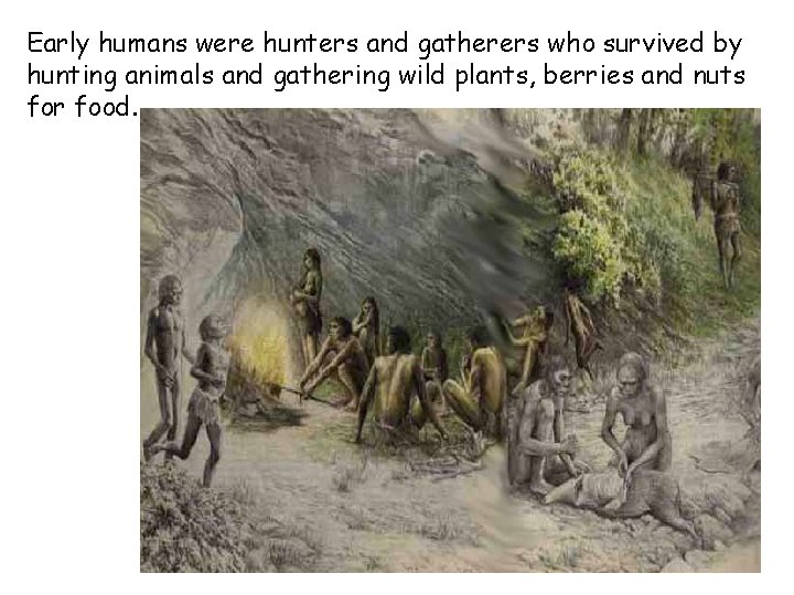 Early humans were hunters and gatherers who survived by hunting animals and gathering wild