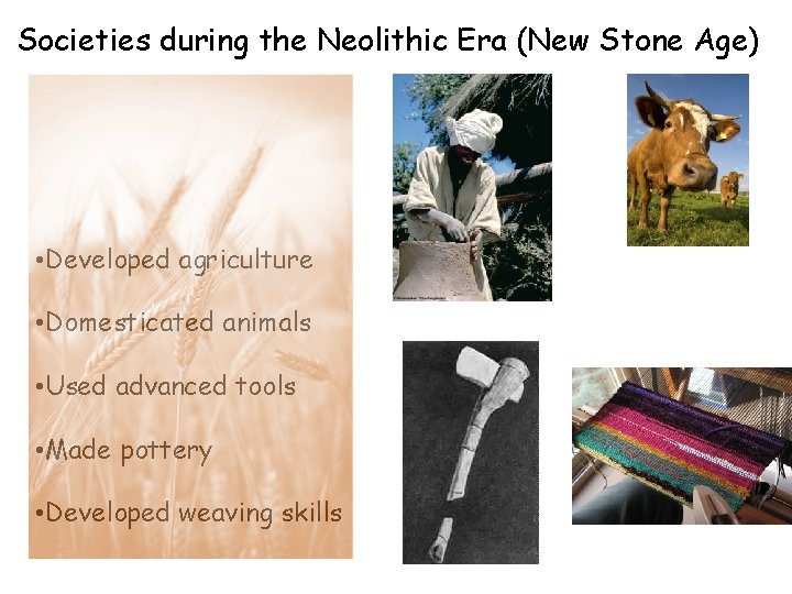 Societies during the Neolithic Era (New Stone Age) • Developed agriculture • Domesticated animals