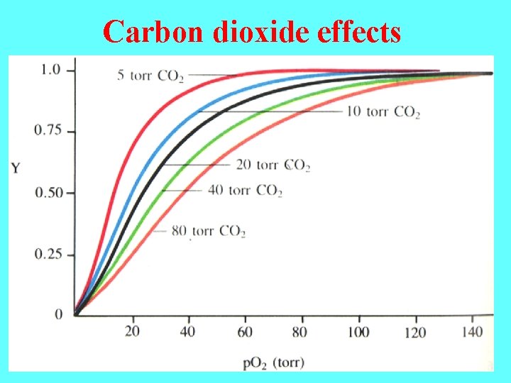 Carbon dioxide effects Carbon dioxide effects