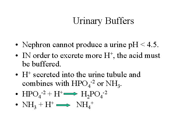 Urinary Buffers • Nephron cannot produce a urine p. H < 4. 5. • Urinary Buffers • Nephron cannot produce a urine p. H < 4. 5. •
