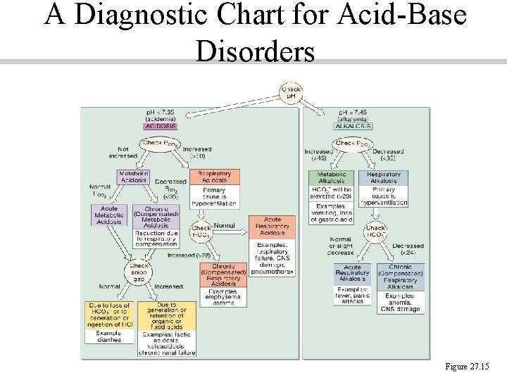 A Diagnostic Chart for Acid-Base Disorders Figure 27. 15 A Diagnostic Chart for Acid-Base Disorders Figure 27. 15