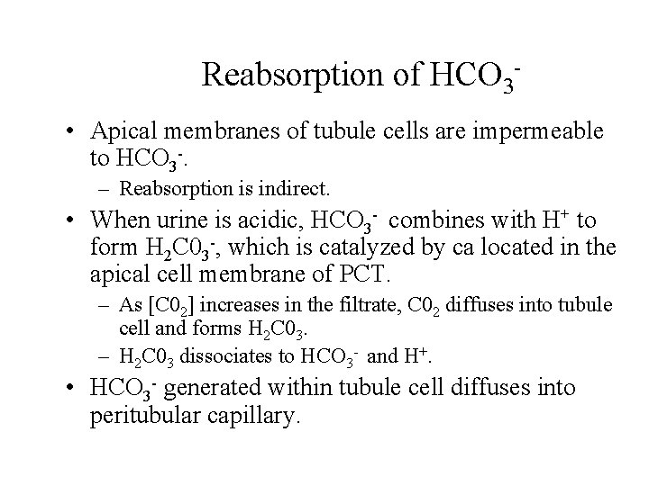 Reabsorption of HCO 3 • Apical membranes of tubule cells are impermeable to HCO Reabsorption of HCO 3 • Apical membranes of tubule cells are impermeable to HCO