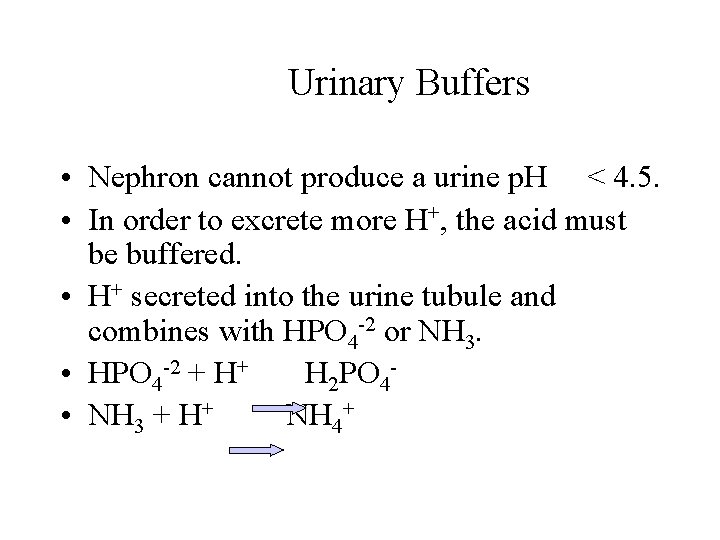 Urinary Buffers • Nephron cannot produce a urine p. H < 4. 5. • Urinary Buffers • Nephron cannot produce a urine p. H < 4. 5. •