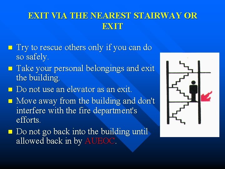EXIT VIA THE NEAREST STAIRWAY OR EXIT n n n Try to rescue others