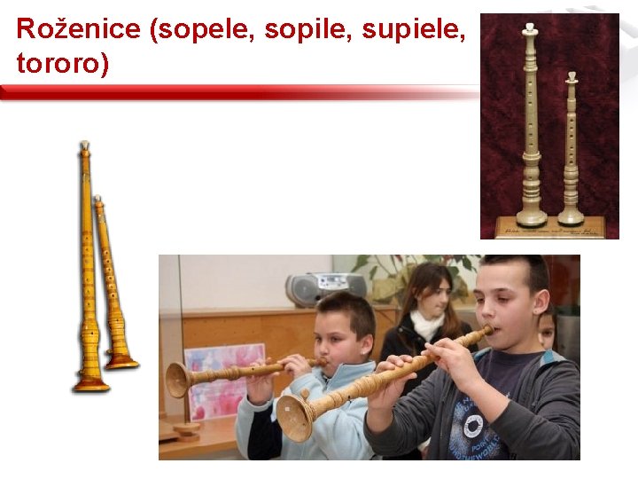 Roženice (sopele, sopile, supiele, tororo) 