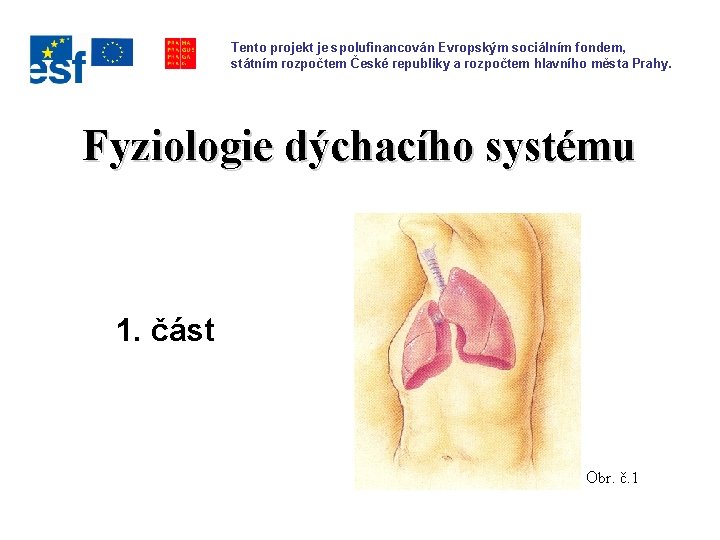 Tento projekt je spolufinancován Evropským sociálním fondem, státním rozpočtem České republiky a rozpočtem hlavního