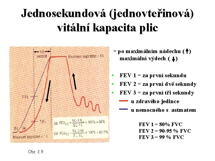 Jednosekundová (jednovteřinová) vitální kapacita plic = po maximálním nádechu ( ) maximální výdech (