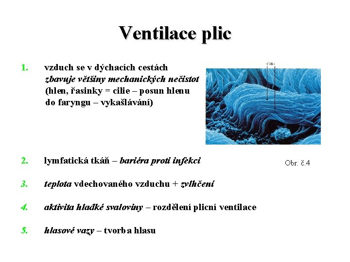 Ventilace plic 1. vzduch se v dýchacích cestách zbavuje většiny mechanických nečistot (hlen, řasinky