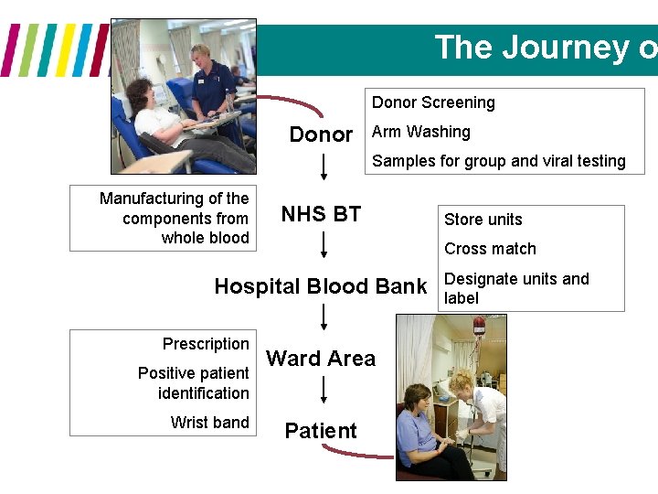 The Journey o Donor Screening Donor Arm Washing Samples for group and viral testing