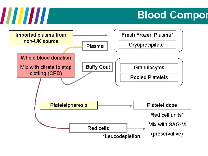 Blood Compon Imported plasma from non-UK source Fresh Frozen Plasma* Plasma Cryoprecipitate* Whole blood