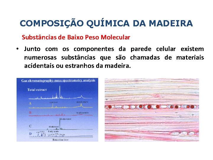 COMPOSIÇÃO QUÍMICA DA MADEIRA Substâncias de Baixo Peso Molecular • Junto com os componentes