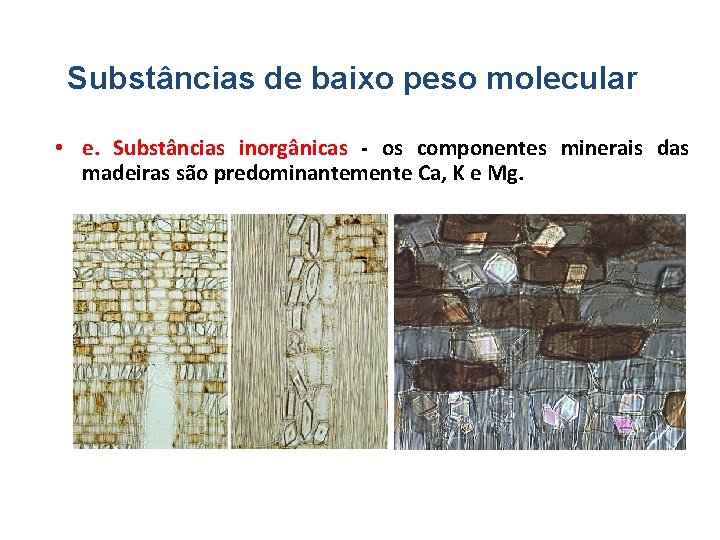 Substâncias de baixo peso molecular • e. Substâncias inorgânicas - os componentes minerais das