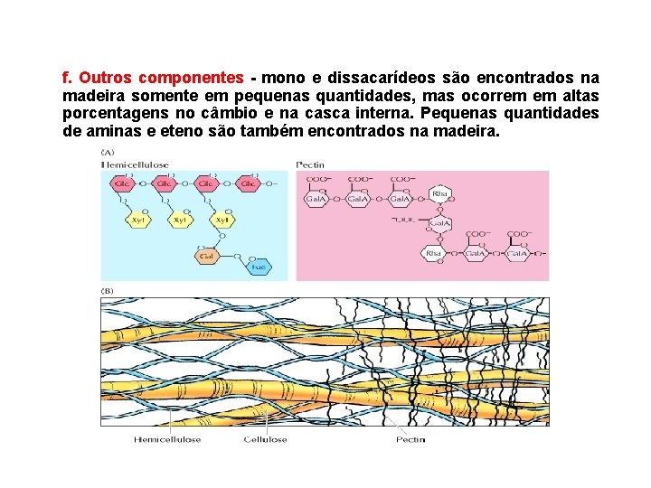 f. Outros componentes - mono e dissacarídeos são encontrados na madeira somente em pequenas