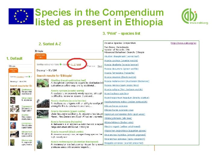 Species in the Compendium listed as present in Ethiopia 3. ‘Print’ – species list