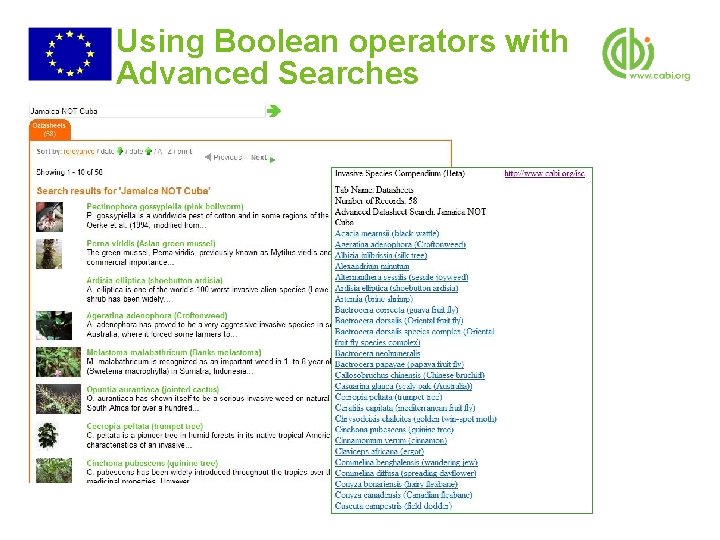 Using Boolean operators with Advanced Searches 