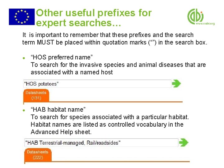 Other useful prefixes for expert searches… It is important to remember that these prefixes