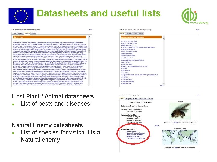 Datasheets and useful lists Host Plant / Animal datasheets ● List of pests and