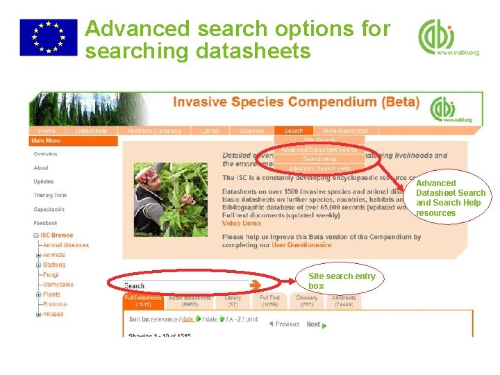 Advanced search options for searching datasheets Advanced Datasheet Search and Search Help resources Site