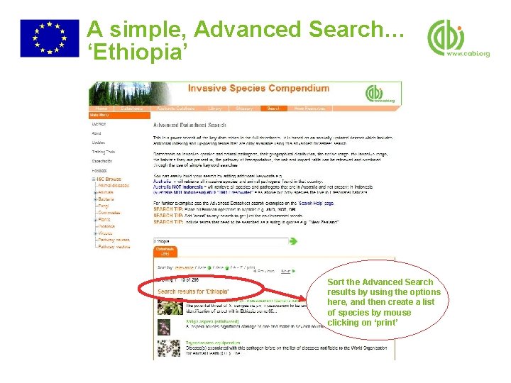 A simple, Advanced Search… ‘Ethiopia’ Sort the Advanced Search results by using the options