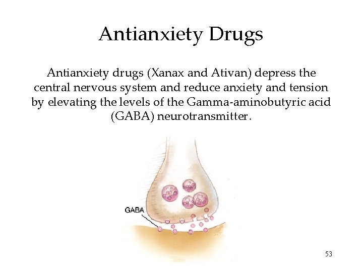 Antianxiety Drugs Antianxiety drugs (Xanax and Ativan) depress the central nervous system and reduce