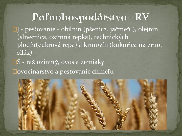 Poľnohospodárstvo - RV �J - pestovanie - obilnín (pšenica, jačmeň ), olejnín (slnečnica, ozimná