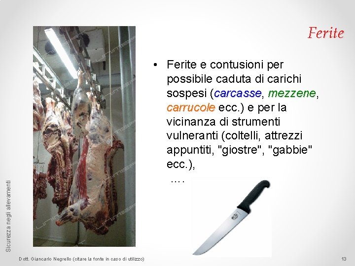 Ferite Sicurezza negli allevamenti • Ferite e contusioni per possibile caduta di carichi sospesi