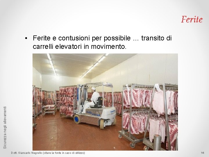 Ferite Sicurezza negli allevamenti • Ferite e contusioni per possibile … transito di carrelli