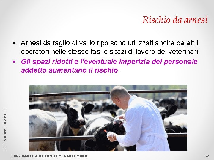 Rischio da arnesi Sicurezza negli allevamenti • Arnesi da taglio di vario tipo sono