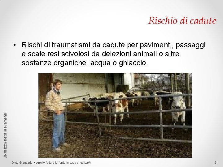 Rischio di cadute Sicurezza negli allevamenti • Rischi di traumatismi da cadute per pavimenti,