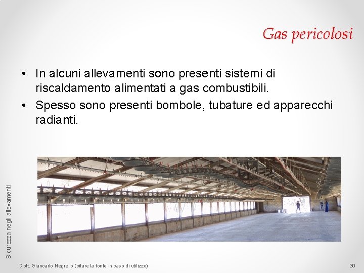 Gas pericolosi Sicurezza negli allevamenti • In alcuni allevamenti sono presenti sistemi di riscaldamento