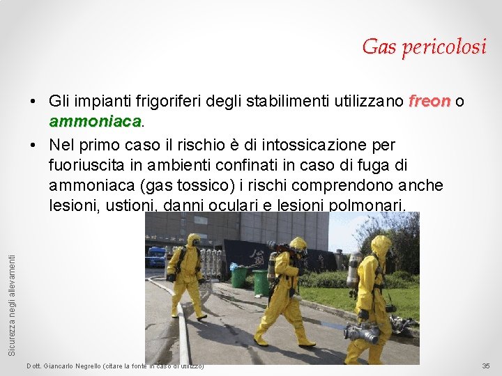 Gas pericolosi Sicurezza negli allevamenti • Gli impianti frigoriferi degli stabilimenti utilizzano freon o