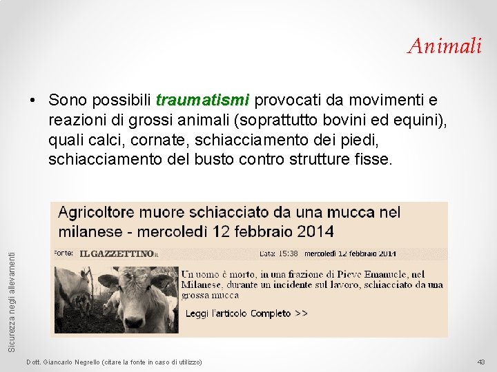 Animali Sicurezza negli allevamenti • Sono possibili traumatismi provocati da movimenti e reazioni di