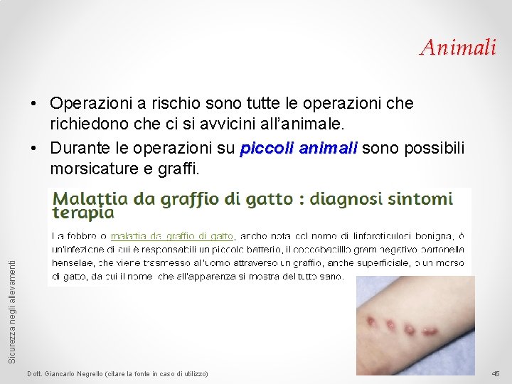 Animali Sicurezza negli allevamenti • Operazioni a rischio sono tutte le operazioni che richiedono
