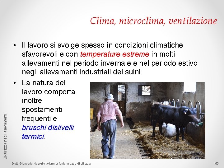 Sicurezza negli allevamenti Clima, microclima, ventilazione • Il lavoro si svolge spesso in condizioni