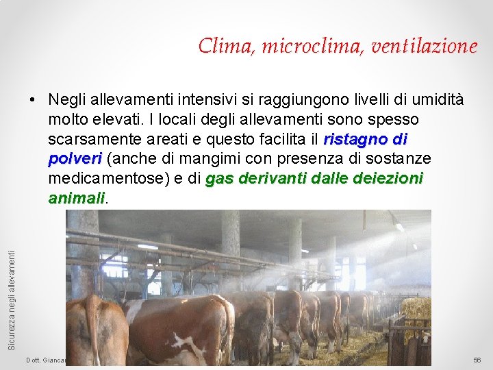 Clima, microclima, ventilazione Sicurezza negli allevamenti • Negli allevamenti intensivi si raggiungono livelli di