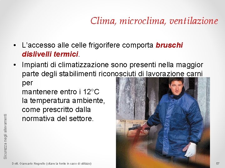 Sicurezza negli allevamenti Clima, microclima, ventilazione • L’accesso alle celle frigorifere comporta bruschi dislivelli