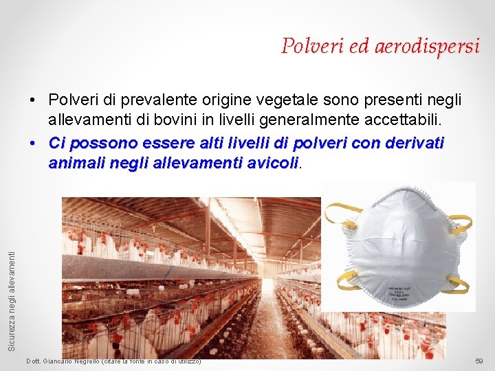 Polveri ed aerodispersi Sicurezza negli allevamenti • Polveri di prevalente origine vegetale sono presenti