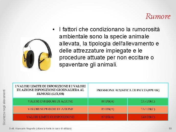 Rumore Sicurezza negli allevamenti • I fattori che condizionano la rumorosità ambientale sono la