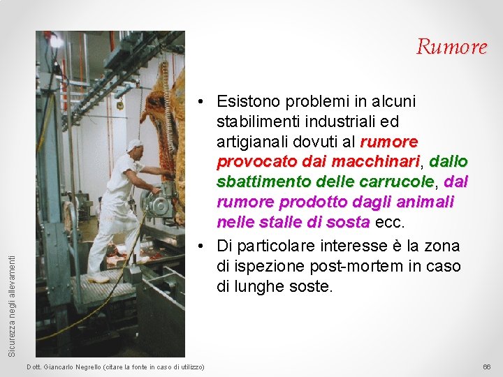 Sicurezza negli allevamenti Rumore • Esistono problemi in alcuni stabilimenti industriali ed artigianali dovuti