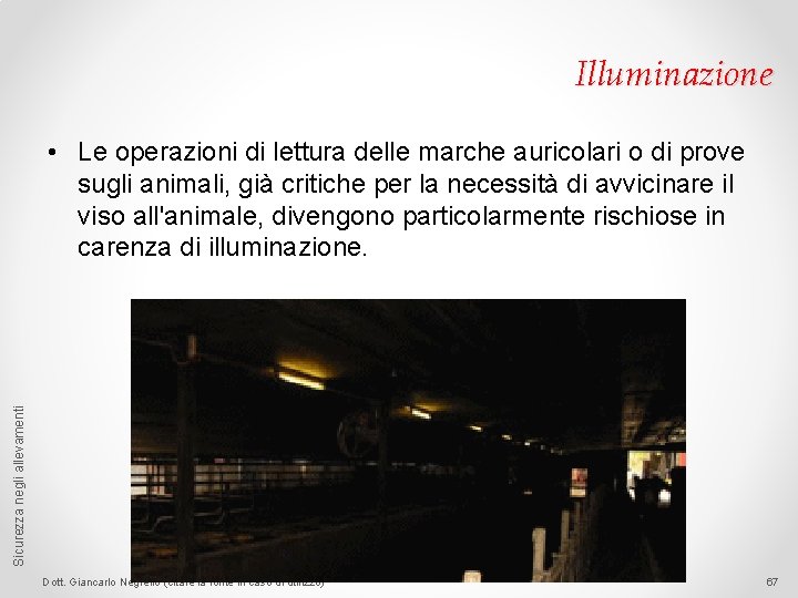 Illuminazione Sicurezza negli allevamenti • Le operazioni di lettura delle marche auricolari o di