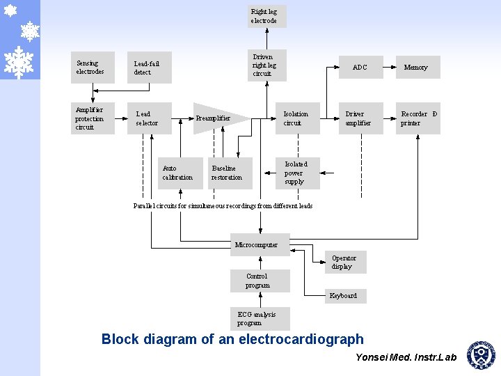 Right leg electrode Sensing electrodes Lead-fail detect Amplifier protection circuit Lead selector Driven right