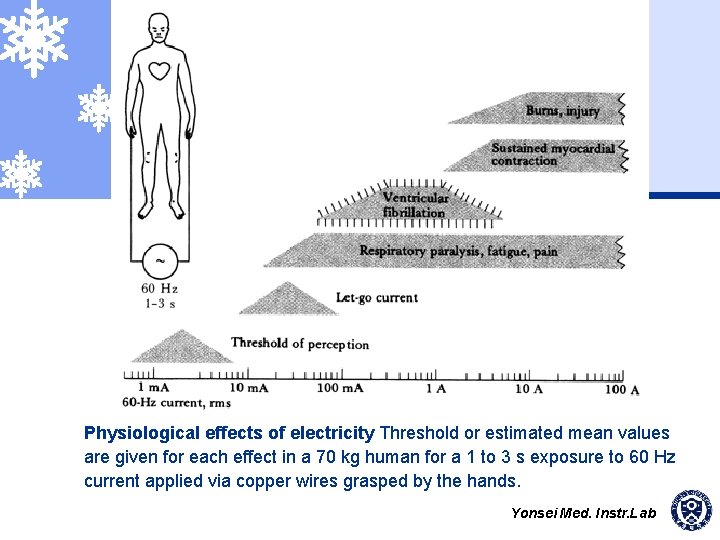 Physiological effects of electricity Threshold or estimated mean values are given for each effect