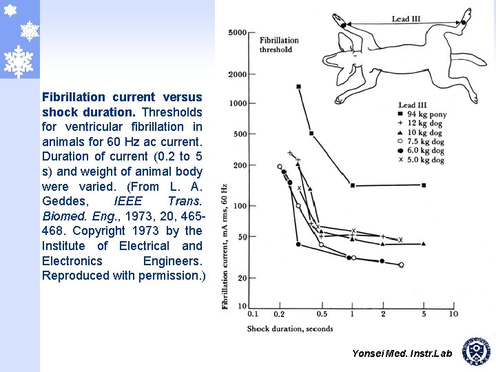 Fibrillation current versus shock duration. Thresholds for ventricular fibrillation in animals for 60 Hz