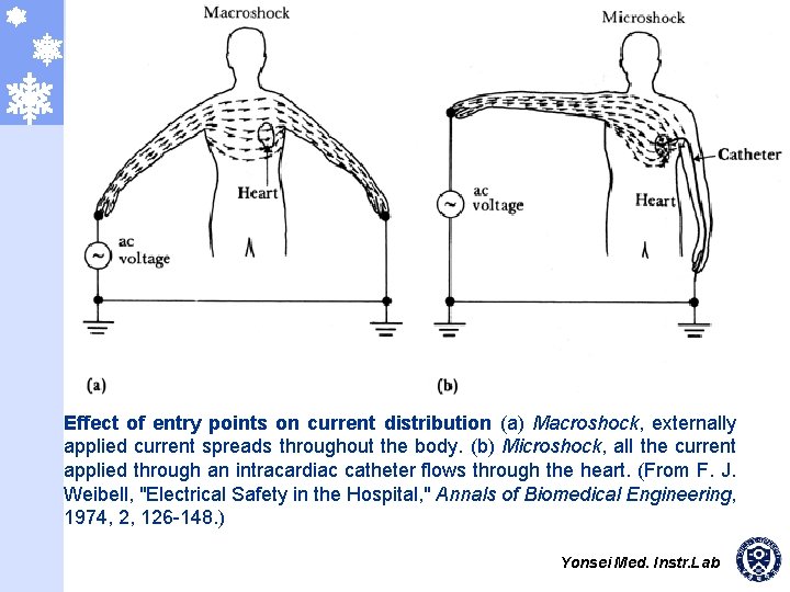 Effect of entry points on current distribution (a) Macroshock, externally applied current spreads throughout