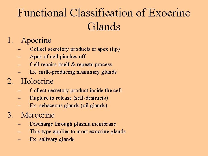 Functional Classification of Exocrine Glands 1. Apocrine – – Collect secretory products at apex