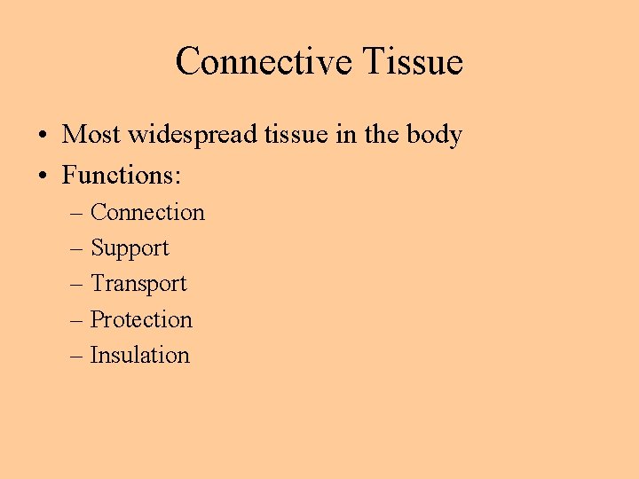 Connective Tissue • Most widespread tissue in the body • Functions: – Connection –